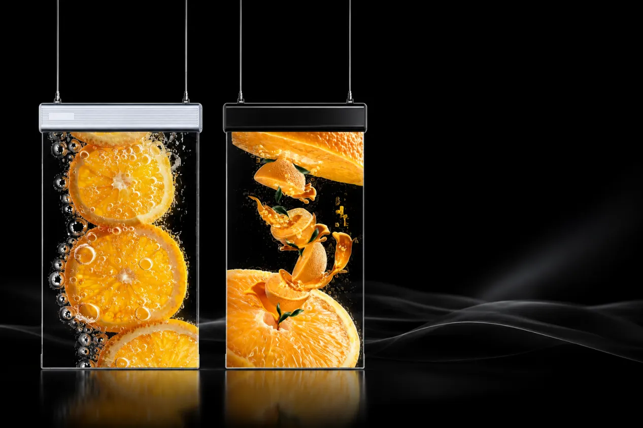 Invisible Visual Experience with Holographic Technology