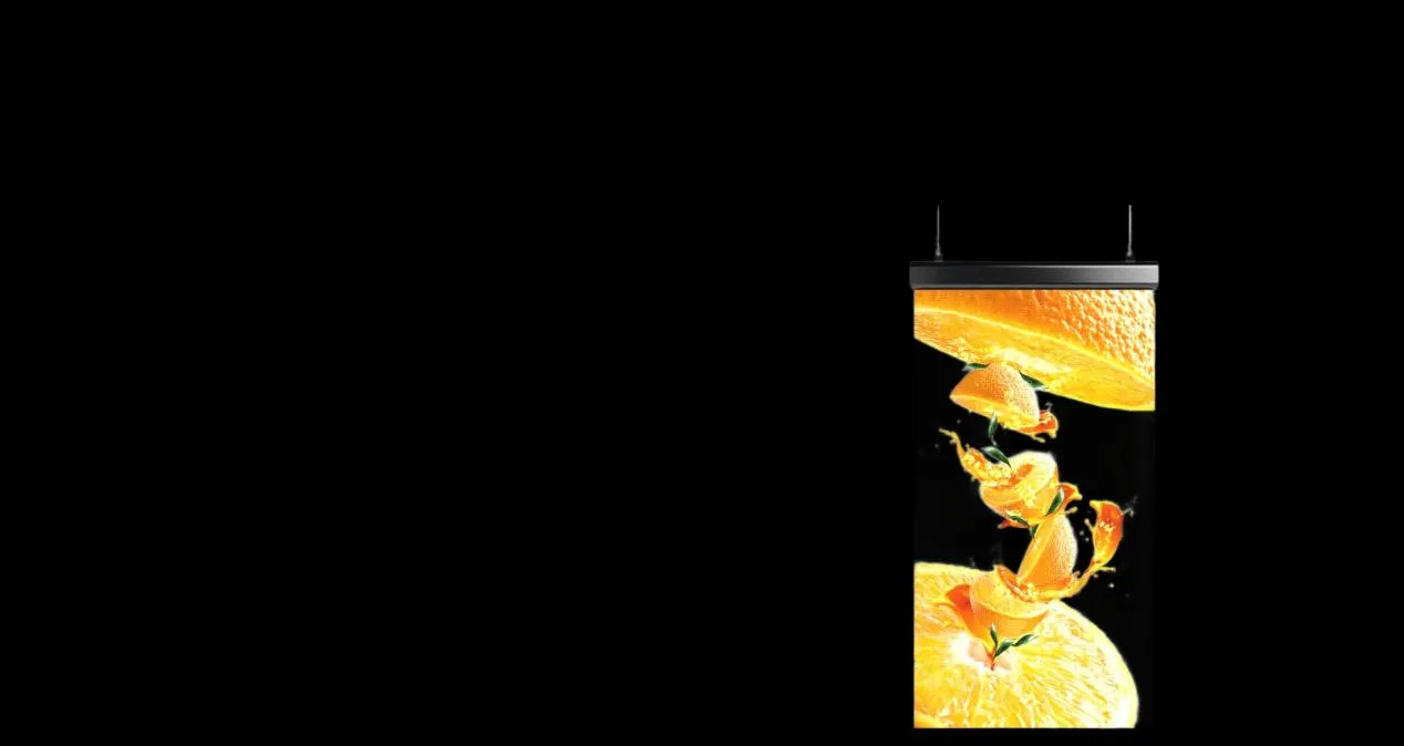 High Brightness and Contrast for Striking Visuals